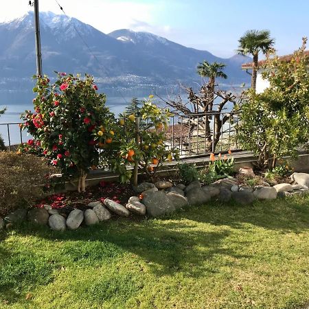Camera Con Bagno Privato E Giardino Brione sopra Minusio Extérieur photo
