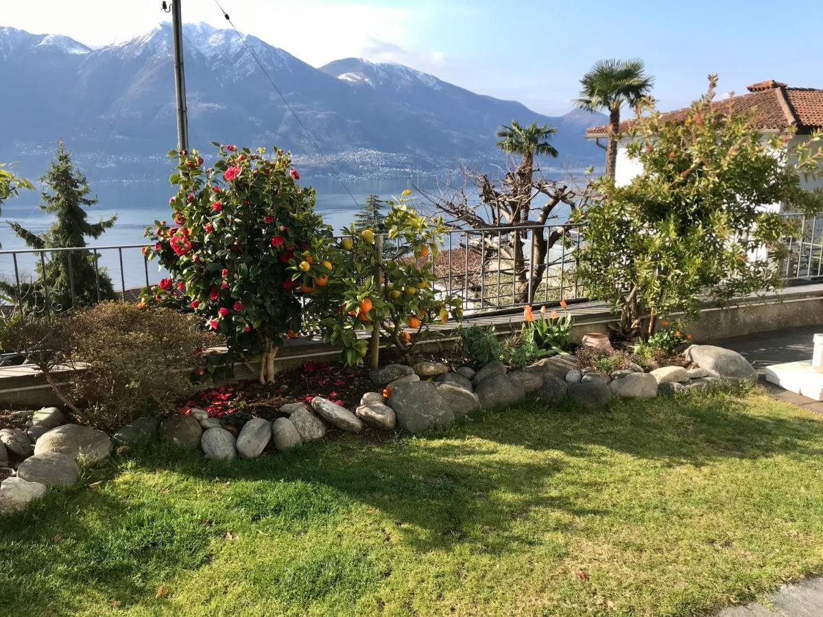 Camera Con Bagno Privato E Giardino Brione sopra Minusio Extérieur photo